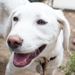 D 509f1234 8141 4e69 88be d6b75d027114