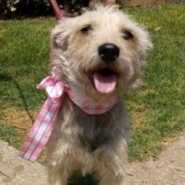 D 96b2eb31 88a3 4f9e aeb6 2ec013bca597