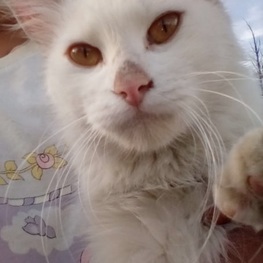 D 892f2d62 443e 40e2 9fc7 5daa5a901a72