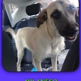 D 1b0bae57 1b5b 4be7 b652 7168c8fdefcb