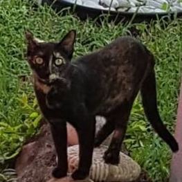 D aaccff4f c2b9 4ecb 9033 3efbdd328f74