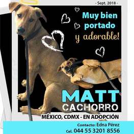 D 1579e7aa 706e 408e b278 38f29658f18d