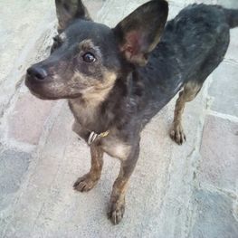 D e2f20dfd 3482 4770 a671 15538b4b39a6