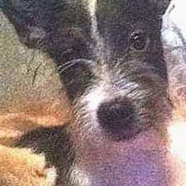 D 8fc2dc11 93c8 48ba be01 a788a411560f