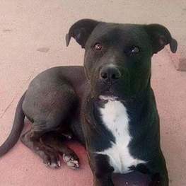 D a75efde3 b4e2 4d15 a0f4 d627bd28685b