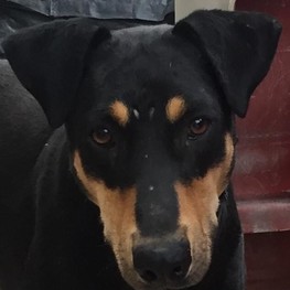 D 270add90 6605 44f5 b62d 1b841615e216