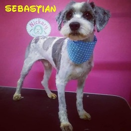 D 468e639f bfd4 4ef0 a1dc b6f0a13b4467