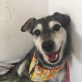 D af4c1a96 71dc 4d49 bb5b 8dc62b3210e8