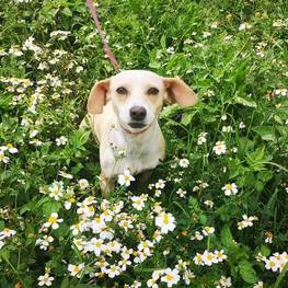 D 39d84169 12f9 4504 892f 60f218b121f4