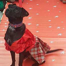 D 9d52cd24 df50 4965 ba17 20b46ffd90a1