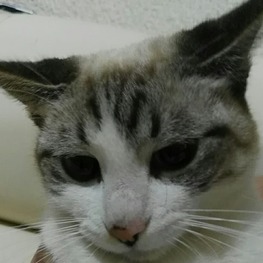 D 66c41bb7 ebf2 469d bcab 19d0f1721750