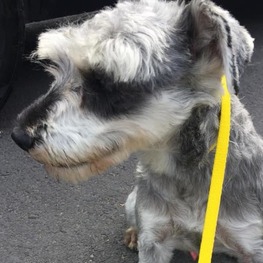 D 3a7217d0 44f2 4bfc a4cc c300f687ea87