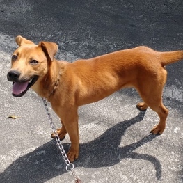 D 522bf534 4050 4da2 bf0f 1b76b2c79c8c