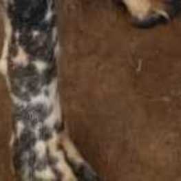 D e7a5df80 ba79 4c1f 8ffa 683882c69894