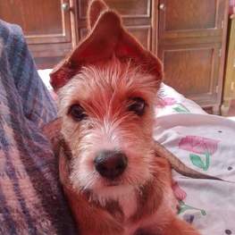 D f35156b8 9760 4877 accf eb527f2a806f