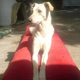 D 92fcdd30 b523 4837 af6a 22b75f23d95d