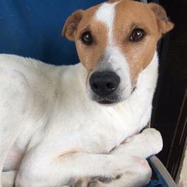 D 75f2b010 083f 4602 98c2 78f1bb1092aa