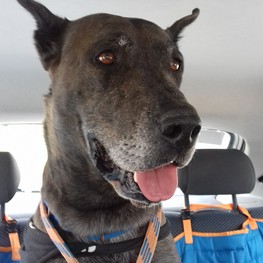 D 34597f9c bf12 4760 8662 1ad08d90277b