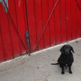 D b044058e 165b 4e97 adeb 55173395f83e