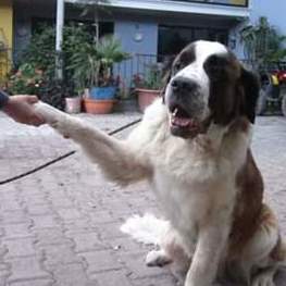 D 486088df 91f0 44e8 b852 f3f6d74ff0b8