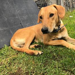 D 9f285e37 1cf2 41d9 9f01 3820f0037965