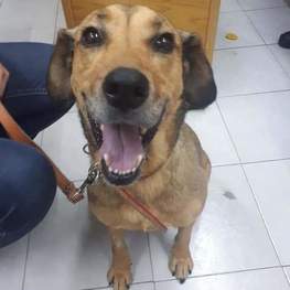 D 2d6fa2fc 2ca7 4ccc 9209 4c70d5c371aa