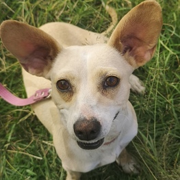 D 72289f88 08e4 44dc ab55 796da53e1b25