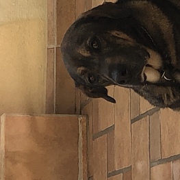 D 066674f2 9f56 4258 b5da 2280b8aa3008