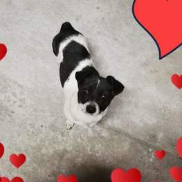 D 6ebf84b4 3f4a 444a a5ca 9e9254be0f97