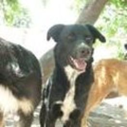 D b3146bed 5df6 4abc 9beb 6ca63ca2957b