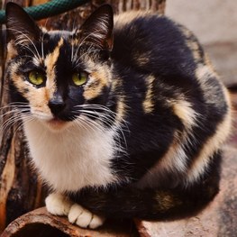 D d802c761 057e 4393 afd3 b44f22255978