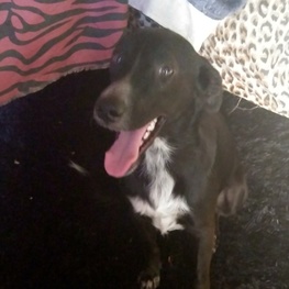 D ad509dfe 8504 4608 8ae1 7bee064a97d2