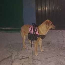 D bb163108 1b6d 4733 9963 041952aac545