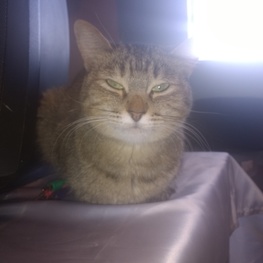 D aee93ae1 a11c 42e1 9dd1 ca00d89b36f6