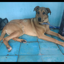 D 1543b28a 21df 4b7c a293 1b7eb400ae18