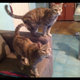 D 81222360 7055 4dd6 bf65 83a863d3a476