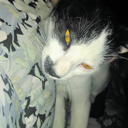 D 3bfd20ef 7e16 40d7 90aa 90666811b547