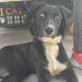 D 4470d85d ef8f 404c a443 b7358b0773d6