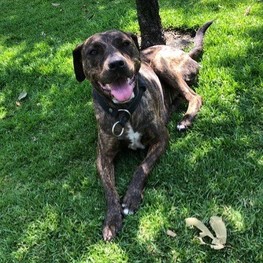 D 8939a75f f83a 448c 8a29 60138b29c268