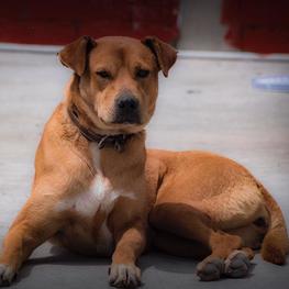 D 8c9c89c3 46fa 4fc9 900d 1a30ade1e7bf