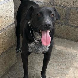 D 09ae2f46 5219 4263 9c50 d9709e2fb886