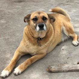 D d6caaad8 93cf 4d8a a61c a5b4fd1d29eb