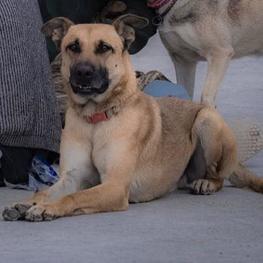 D 77d878a0 72a8 4e7a 8d2b 7f696a01f451