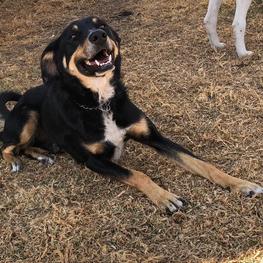 D 452fc75b ad17 4db3 8590 fc4329d7f41c