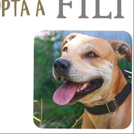 D 4f8e51ec b205 4543 935f aff0c32e39f3