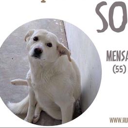 D cb3aaf2c 054e 457b 843d 0b40e3b8b8d6