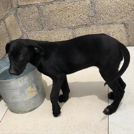 D 907084e7 dde2 4d88 945c 7397b8d22fe1