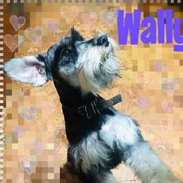 D 91f182cb d75a 4929 8746 d1637ba54ec2