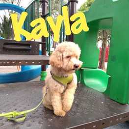 D 742f8f67 37c9 4e24 9cae 182d39b89c48