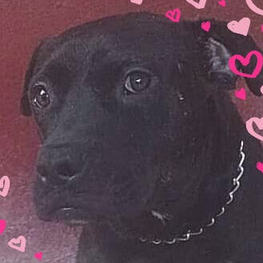 D 6ab55de8 c068 43ca bcb7 f75a03a65b8e